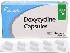 doxycycline dose for dogs with heartworms